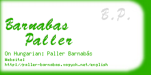 barnabas paller business card