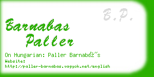 barnabas paller business card